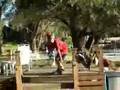 Skateboard Wipeout