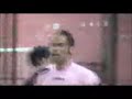 pantere rosa   si dispensa dai fiori 11 1  trofeocaressa it 