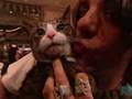 videos de criss angel pics 