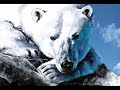 Hey wir wollen die Eisbaern sehen Hey wir wollen die Eisbaern sehen