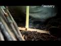 Man-vs-Wild-Hunting-