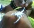 mi maskota (silver)