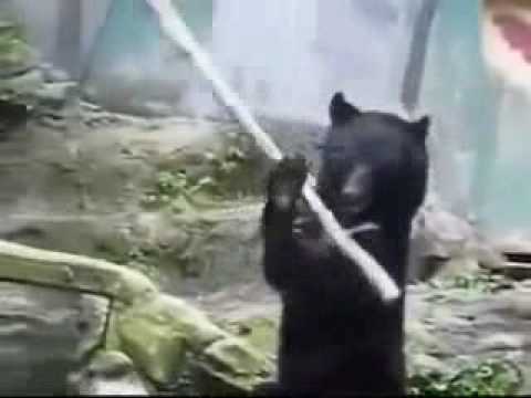 YouTube Трейлер