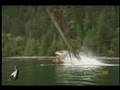 Setting the standard: Helicopter logging