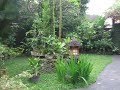 Sehati guesthouse à Ubud ( Bali ) Indonesia