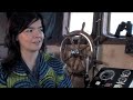 Bjork - Volta Webast (#4)