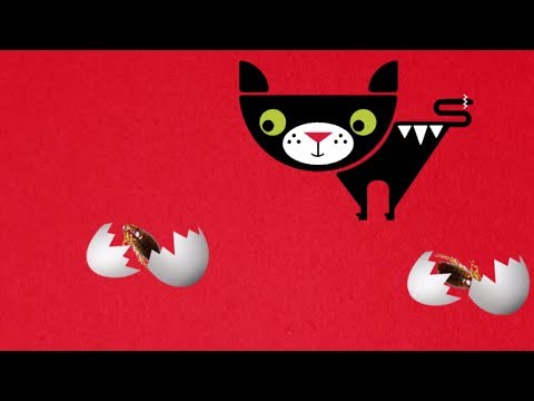 how to treat your house for fleas