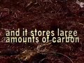 Camping at the edge of destruction
