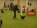 MyDog2009 Kayne AG3-3