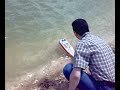 RC sea chaser RC sea chaser