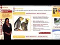 BirdChannel.com Virtual Tour