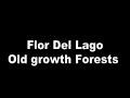 Valdivian Temperate Forests, Elizabeth Arias