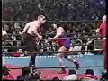 The Road Warriors vs Killer Karn & Animal Hamaguchi