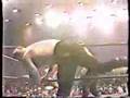 The Road Warriors vs Killer Karn & Animal Hamaguchi
