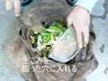 洗濯ネットで生ごみ堆肥化