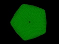 Paramecium Bursaria Chlorella Virus Capsid Structure