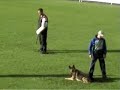 Hektor vom talka marda in C