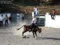 YOSHIMAR(LA YEGUA) Y SU BECCERRITO