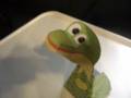 Froggie Optical Illusion