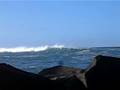 videos de Humboldt harbor