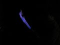 Woodgas Flamethrower Woodgas Flamethrower