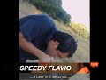 speedy flavio