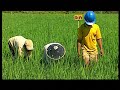 Click here to watch this video System of Rice Intensification SRI Bahasa Indonesia Pt3