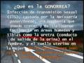 ITS: GONORREA