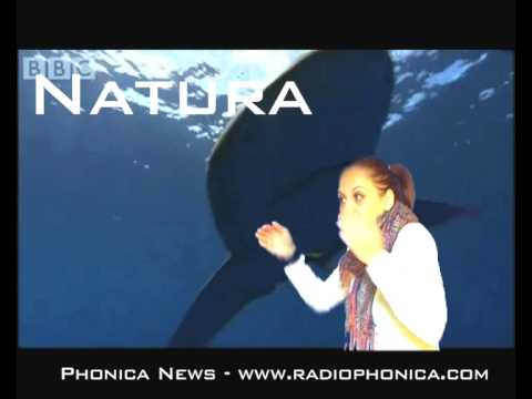 Guarda il Video