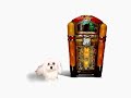 dogentertainment thejukebox