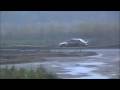 Rally Japan 2008 SS24 A. Araujo