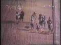 Horse racing accident mini-doc