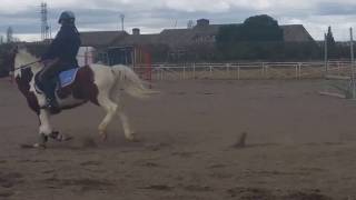 CONCURSO DE SALTO