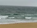 Shelly Beach (Central Coast) NSW