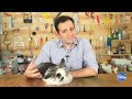 Dicas de última hora para Páscoa - Last Minute Easter Gift Ideas