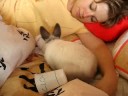 Zo� dans le lit avec gobelets 3