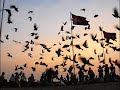 Khmer Bird song feat Timbaland feat LLYOD & LiL Wayne [ DJ JIMMY ]