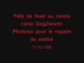 Phototon au centre canin DogZworth