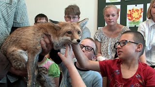 Názorná výuka ve speciální škole