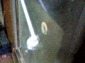 激エロ注意 突撃となりのお風呂