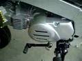 MSR Monster 220 + R in a Monkey PBR