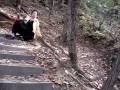 videos de Chilgap Mountain, PT2