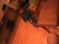MOV014