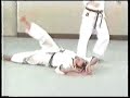 Wado Karate Techniques by Tatsuo Suzuki Sensei