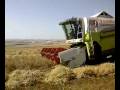 CLAAS MEDION 340 IS HARVESTING THE BARLEY PART 2 2008...!!! COMBINE HARVESTER BİÇERDÖVER