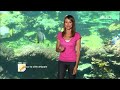 fan d'aquariums dans 100% mag Le retour des crevettes !