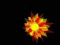 videos de solar celluar Phone Device Phobia! A Spin Movie! Rod lewis 2008.copyright