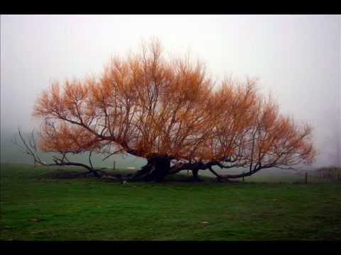 Emotional Grid - I have been so inspired by the teachings of Abraham (copyrighted by Jerry and Esther Hicks), especially the latest information on the Grid. I created this se...