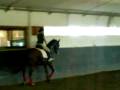 videos de Montando a Garcila (Yeguada Vinyet)