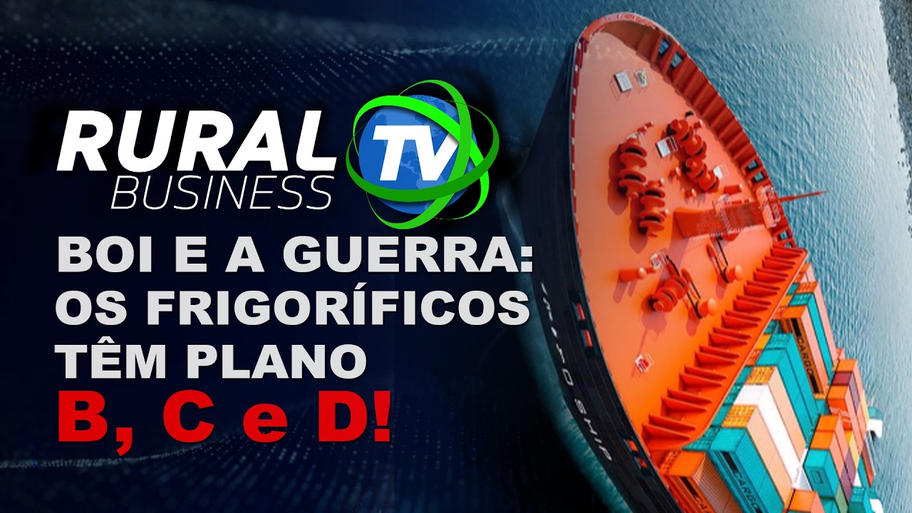 BOI E A GUERRA: OS FRIGORÍFICOS TÊM PLANO B, C E D!